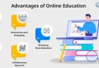 why online learning is popular (reason)